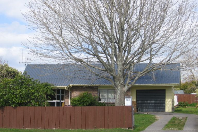 Photo of property in 151 Eversham Road, Mount Maunganui, 3116