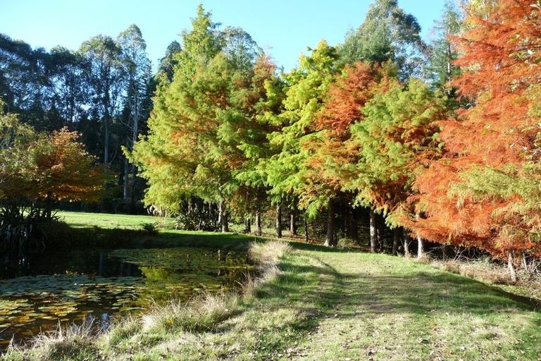 Photo of property in 168 Graham Valley Road, Motueka Valley, Motueka, 7196