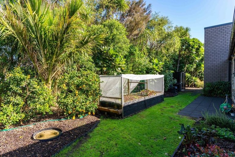 Photo of property in 7 Park Avenue, Mangawhai Heads, Mangawhai, 0505