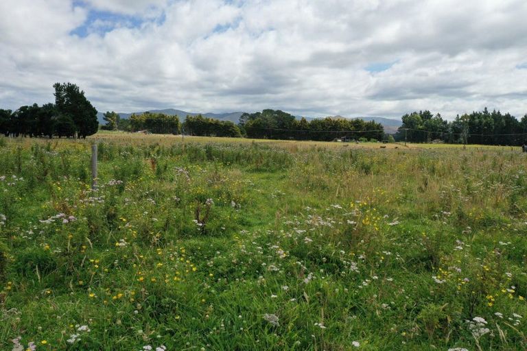 Photo of property in 42 Bright Street, Eketahuna, 4900