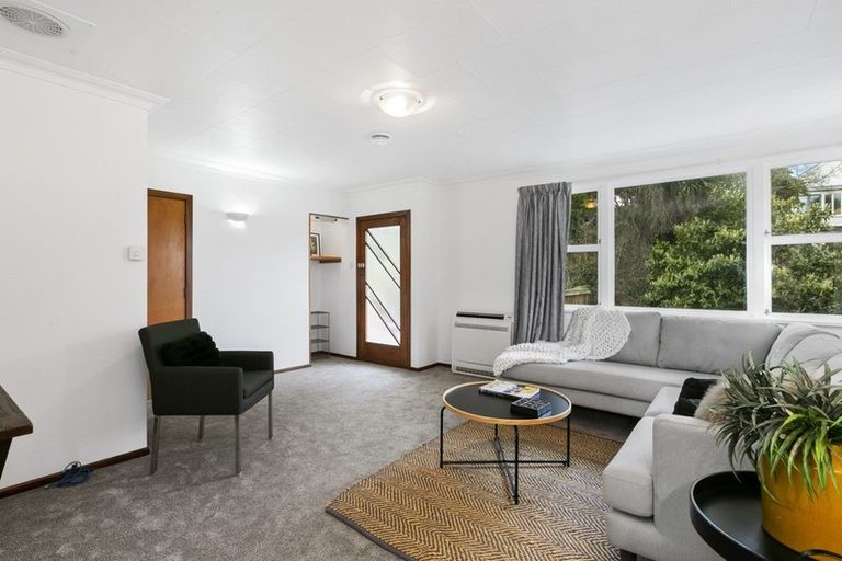 Photo of property in 49 Pacific Street, Roslyn, Dunedin, 9010