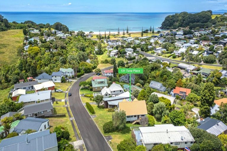 Photo of property in 131 Tuna Place, Onemana, Whangamata, 3691