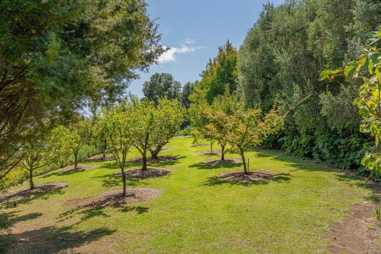 Photo of property in 49 Sarahs Hill, Hahei, Whitianga, 3591