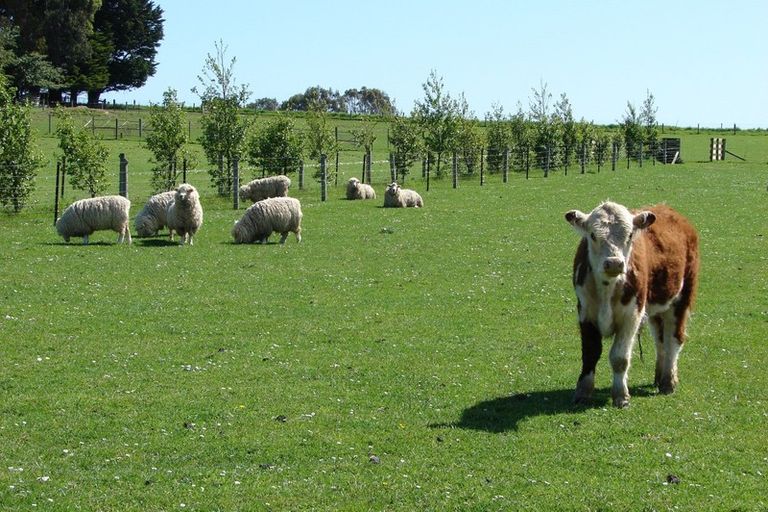 Photo of property in 488 Woodlands South Road, Rimu, Invercargill, 9871