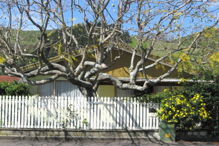 Photo of property in 1/59 Tasman Street, The Wood, Nelson, 7010