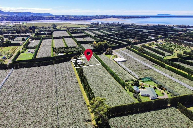 Photo of property in 186 Beach Road, Katikati, 3178