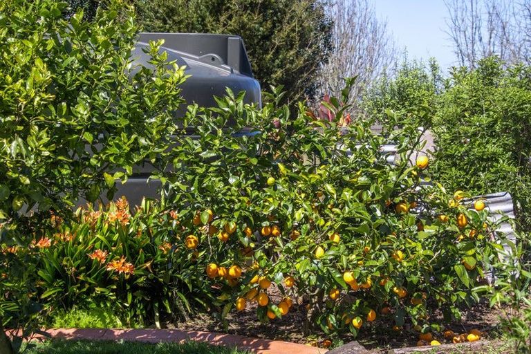 Photo of property in 15 Josephine Place, Te Kauwhata, 3782