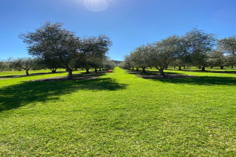 Photo of property in 478 Hihi Road, Hihi, Mangonui, 0494