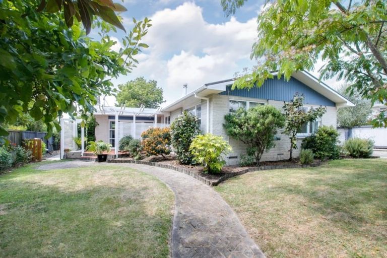 Photo of property in 23 James Cook Street, Havelock North, 4130