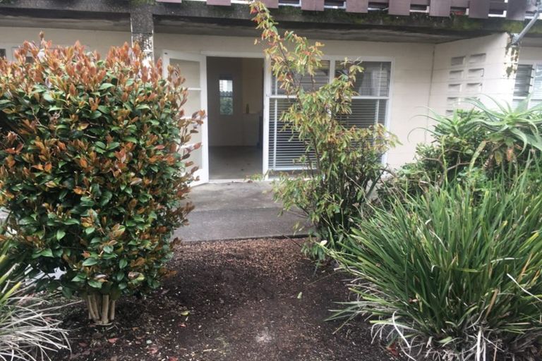 Photo of property in 9 Esplanade Road, Mount Eden, Auckland, 1024