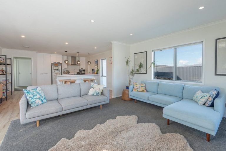 Photo of property in 48 Larch Crescent, Alexandra, 9320