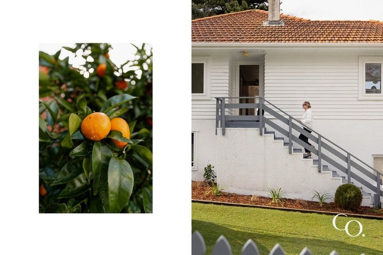 Photo of property in 41 Fourteenth Avenue, Tauranga South, Tauranga, 3112