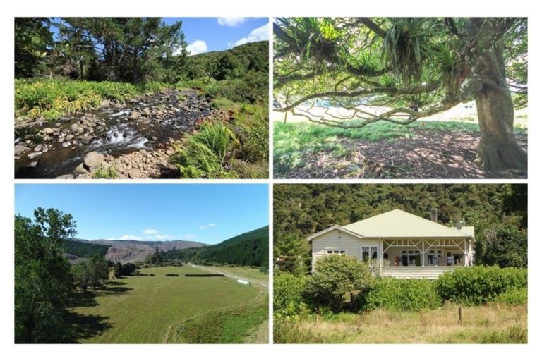 Photo of property in 401 Opouteke Road, Kaihu, Dargaville, 0379