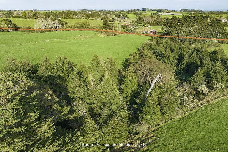Photo of property in 290 Ostrich Road, Patumahoe, Pukekohe, 2679