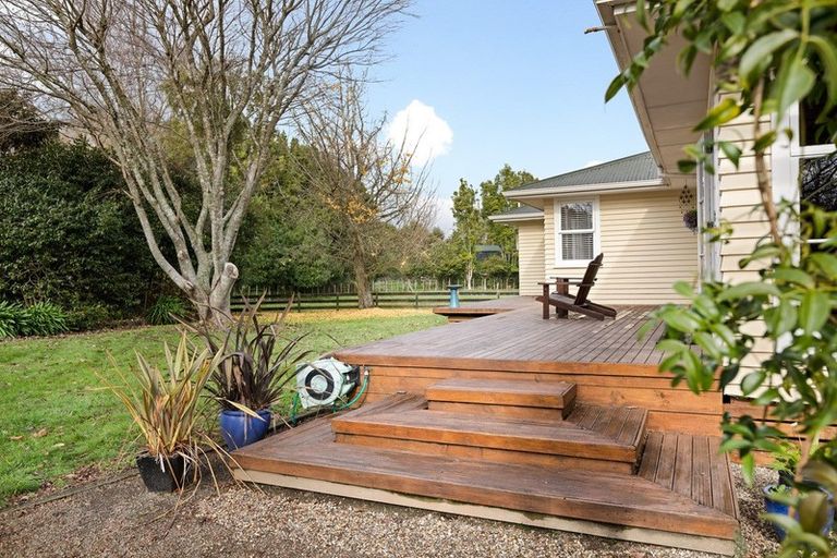 Photo of property in 1/193 Racecourse Road, Cambridge, 3493