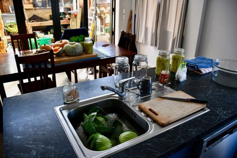 Photo of property in 91a Oparara Road, Karamea, 7893