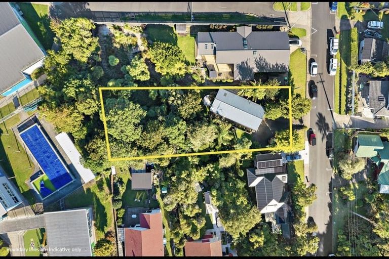 Photo of property in 4 Sunnyview Road, Greenhithe, Auckland, 0632