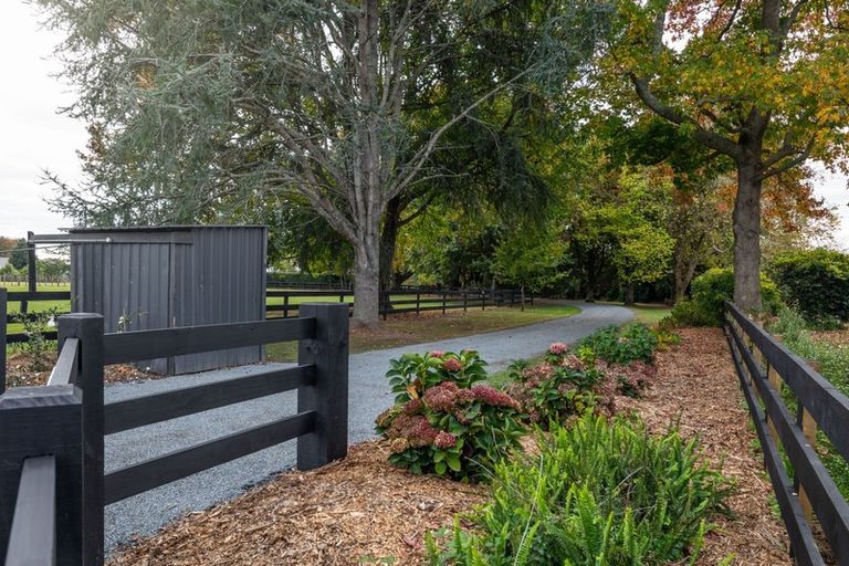 Photo of property in 365 Newell Road, Tamahere, Hamilton, 3283