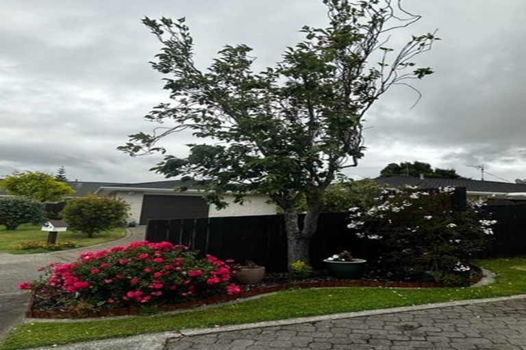 Photo of property in 6 Hampton Place, Springvale, Whanganui, 4501