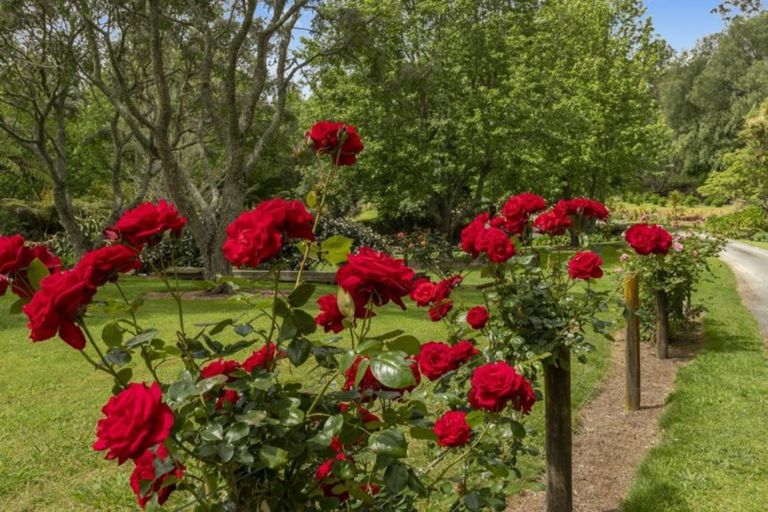 Photo of property in 57 Armstrong Road, Te Puna, Tauranga, 3174