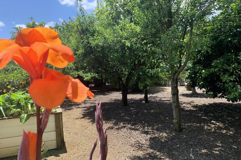 Photo of property in 17 Karaka Drive, Kerikeri, 0230