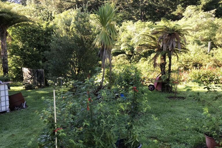 Photo of property in 173 State Highway 30, Lake Rotoma, Rotorua, 3074