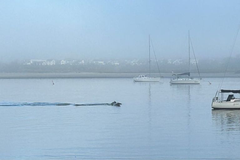 Photo of property in 122 Aeroview Drive, Beach Haven, Auckland, 0626