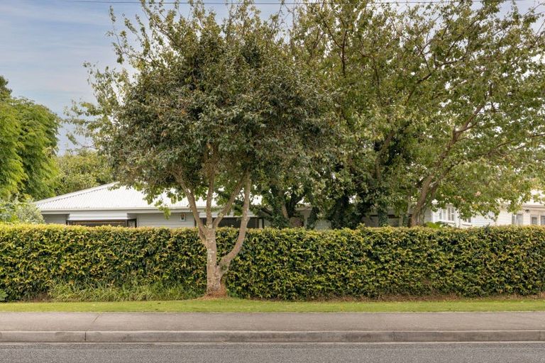 Photo of property in 22a Cook Street, Gate Pa, Tauranga, 3112