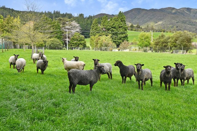 Photo of property in 235 Marchant Road, Kaitoke, Upper Hutt, 5018