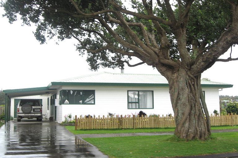 Photo of property in 24 Bayly Street, Waitara, 4320