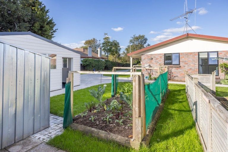 Photo of property in 52 Mcclure Street, Pirongia, 3802