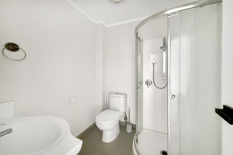 Photo of property in 106 Eban Avenue, Hillcrest, Auckland, 0627
