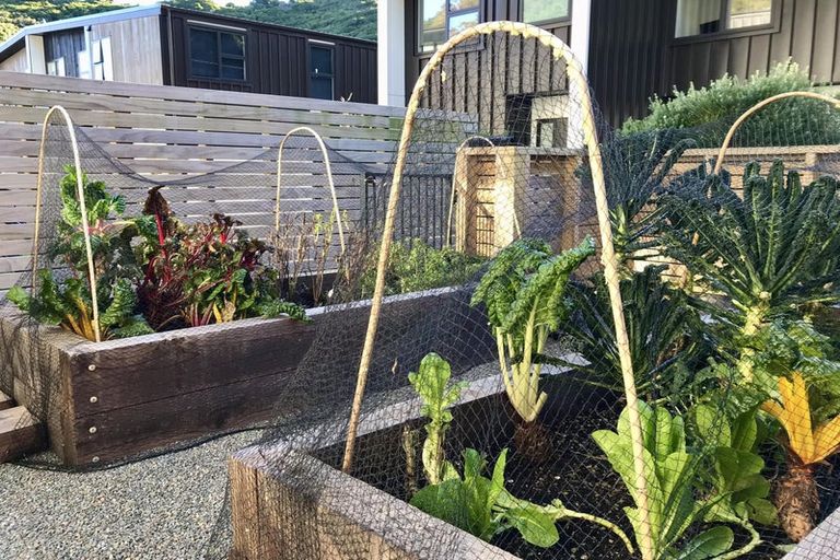 Photo of property in 11 Rua Kai Way, Brooklyn, Wellington, 6021