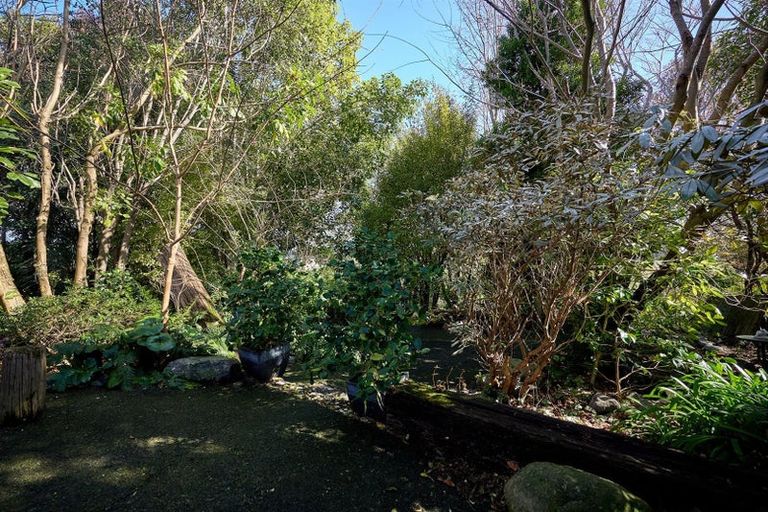 Photo of property in 223 Beach Road, Kaikoura, 7300