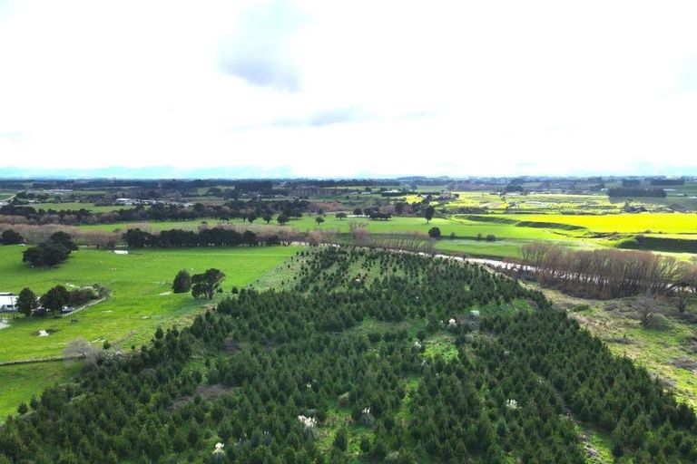 Photo of property in 351 Weber Road, Dannevirke, 4971