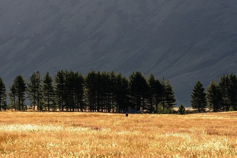 Photo of property in 130 Manuka Terrace, Ben Ohau, Twizel, 7999