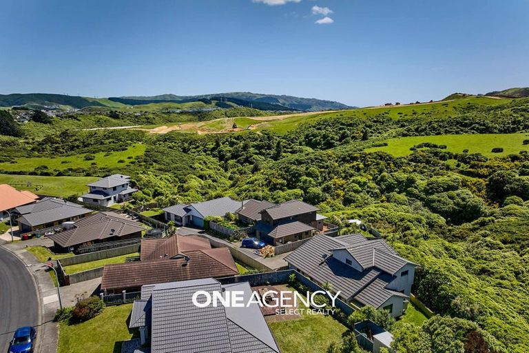 Photo of property in 19 Cabbage Tree Grove, Woodridge, Wellington, 6037