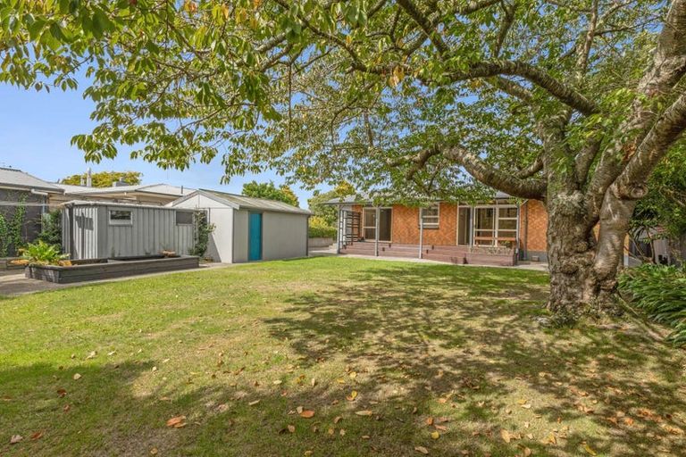 Photo of property in 56 Windsor Street, Terrace End, Palmerston North, 4410
