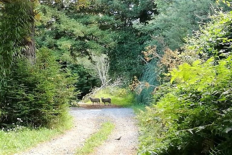 Photo of property in 23 Mount Vernon Place, Washington Valley, Nelson, 7010