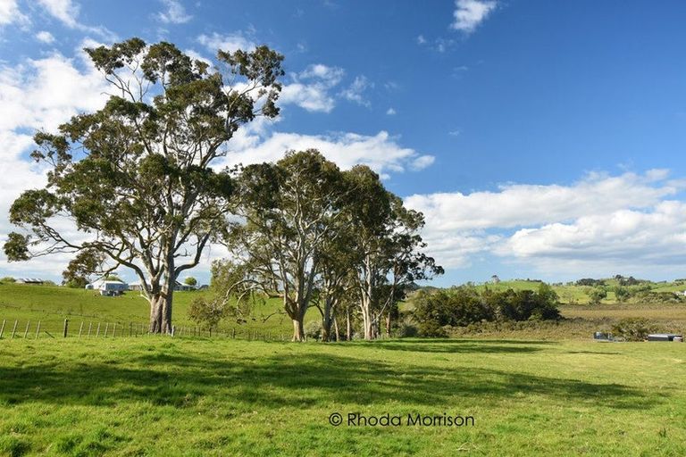 Photo of property in 41 Minnie Casey Rise, Matakohe, 0593