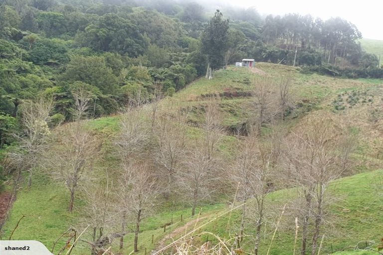 Photo of property in 225 Ngatitangata Road, Waihi, 3681