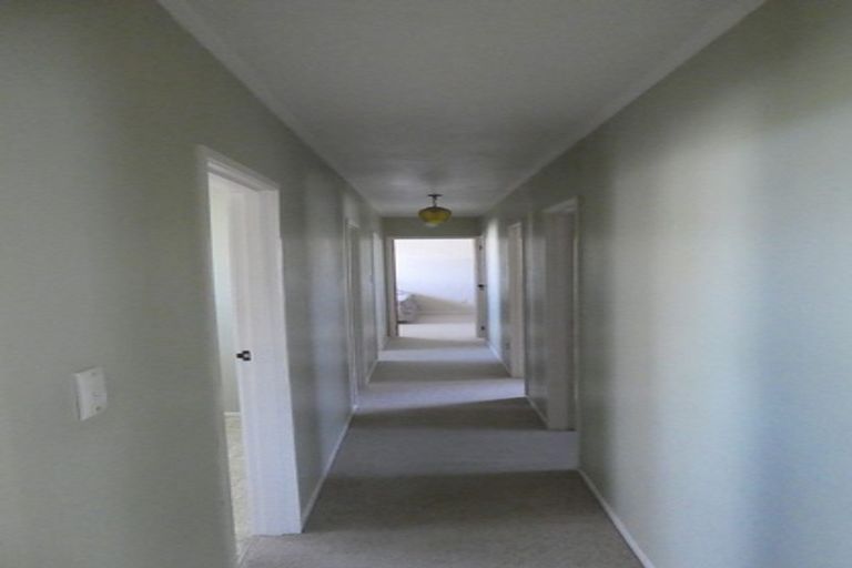 Photo of property in 145 Cameron Road, Te Puke, 3119