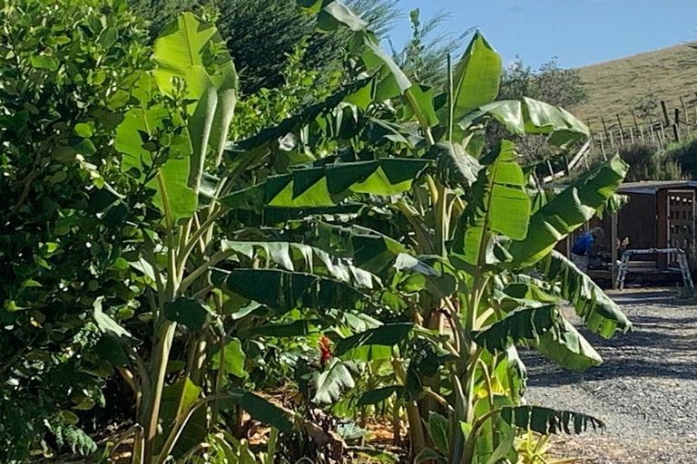 Photo of property in 1665 Matapouri Road, Matapouri, Whangarei, 0173