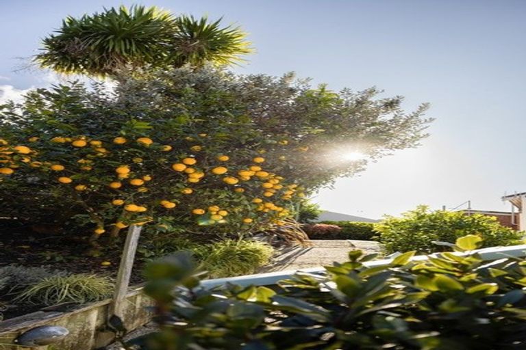 Photo of property in 8b Anchorage Grove, Maungatapu, Tauranga, 3112