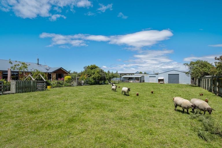 Photo of property in 14 Hathaway Street, Spring Creek, 7202