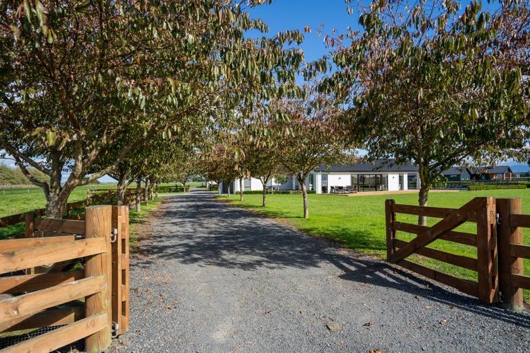 Photo of property in 243 Parallel Road, Ohaupo, Cambridge, 3495