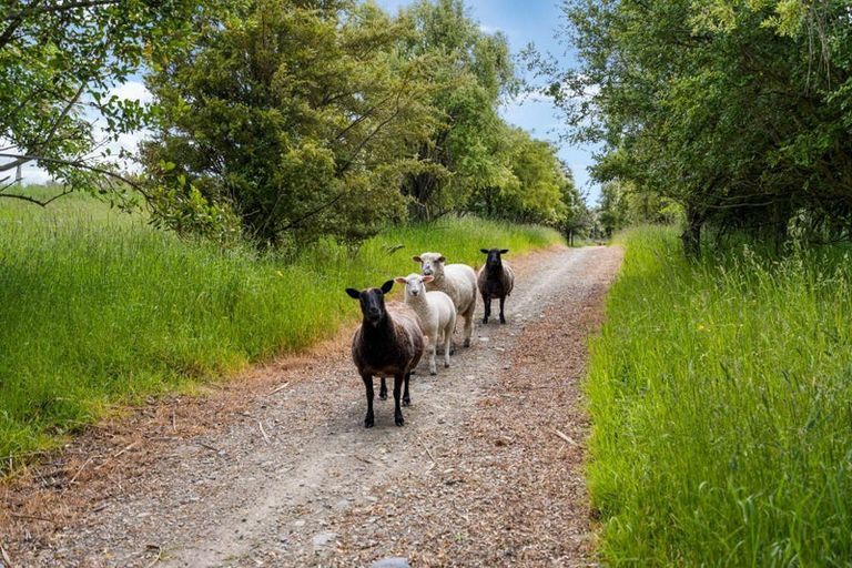 Photo of property in 201 Oamaru-alma Road, Deborah, Oamaru, 9491