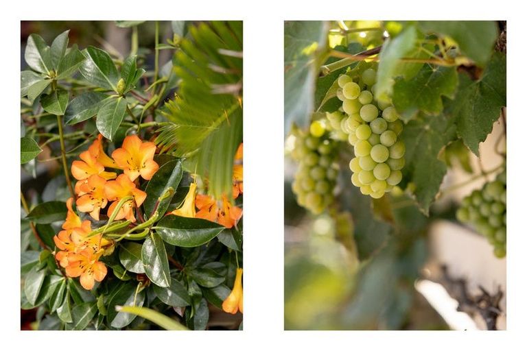 Photo of property in 5 Damien Place, Ohauiti, Tauranga, 3112