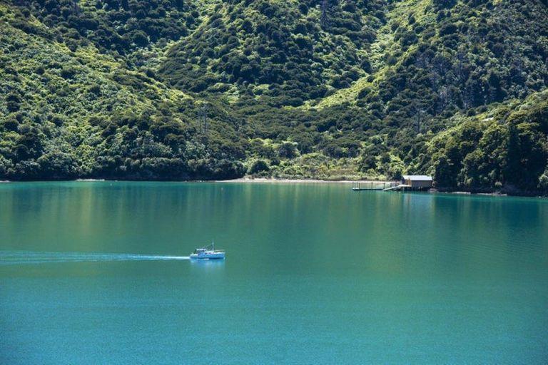 Photo of property in 440 Port Underwood, Whatamango Bay, Picton, 7281