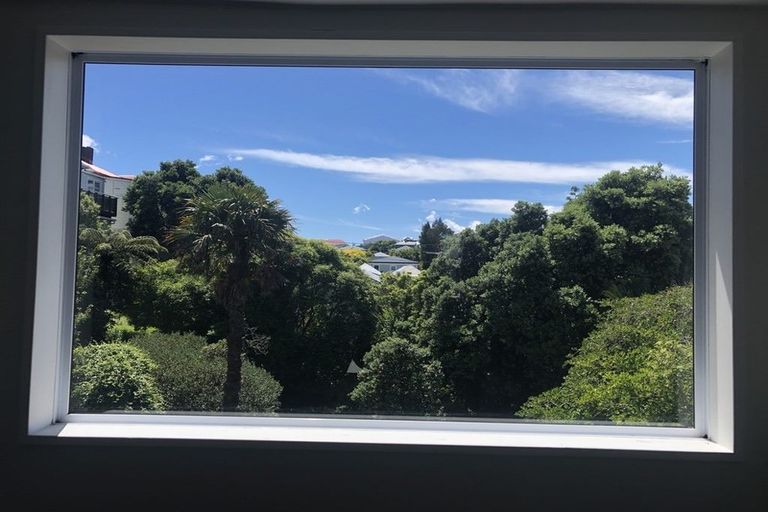 Photo of property in 145b Wallace Street, Mount Cook, Wellington, 6021